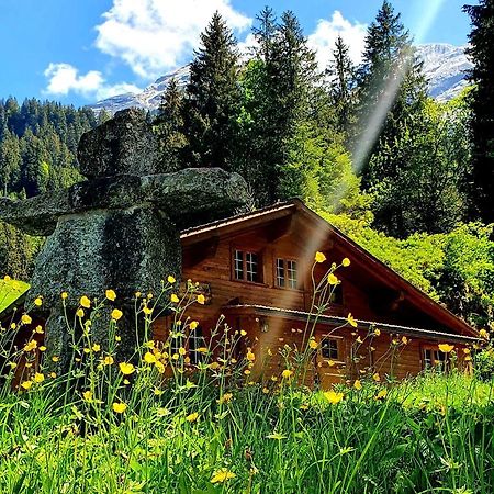 Alpenlodge Willigen Ngoại thất bức ảnh