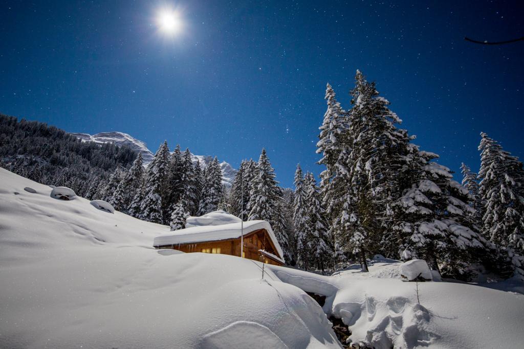 Alpenlodge Willigen Ngoại thất bức ảnh