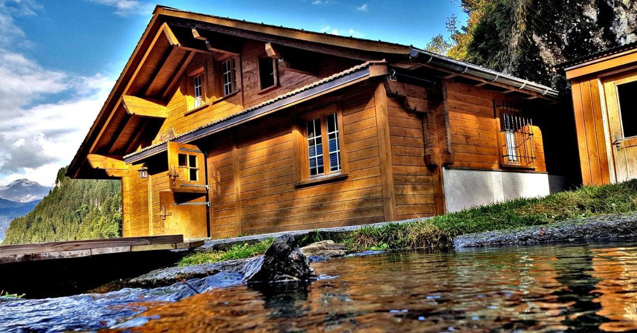 Alpenlodge Willigen Ngoại thất bức ảnh