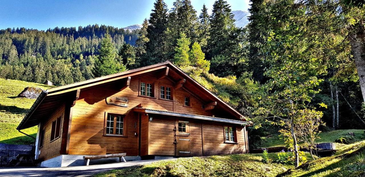 Alpenlodge Willigen Ngoại thất bức ảnh