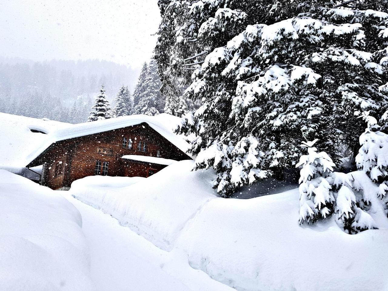 Alpenlodge Willigen Ngoại thất bức ảnh