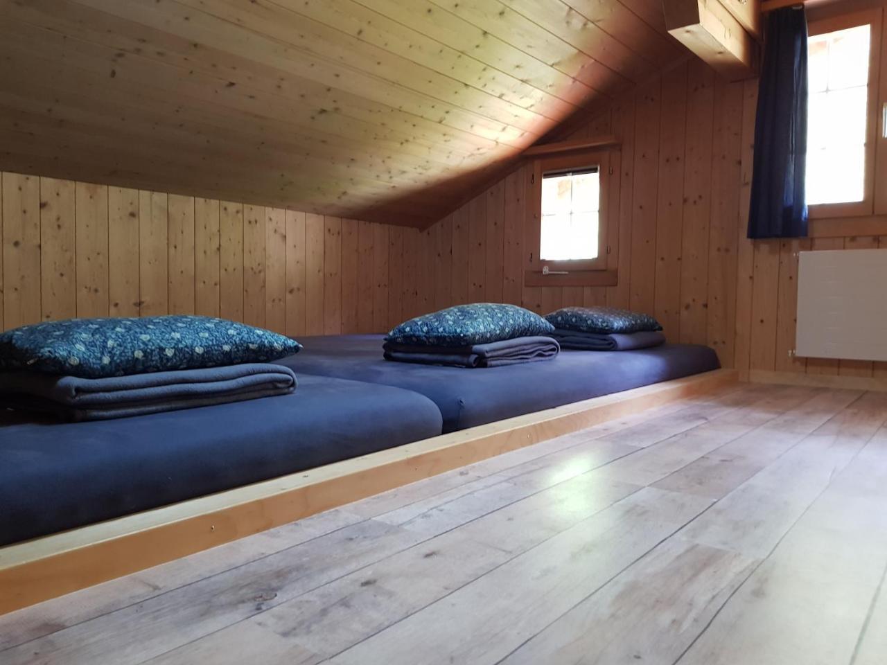 Alpenlodge Willigen Ngoại thất bức ảnh