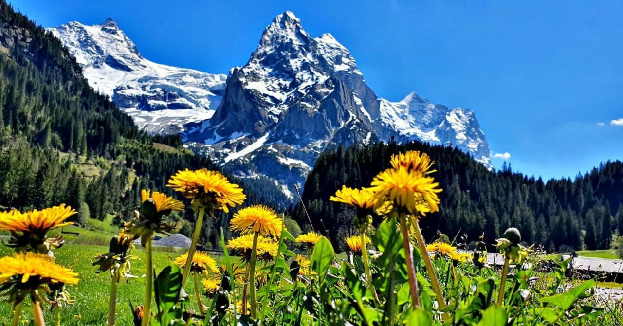 Alpenlodge Willigen Ngoại thất bức ảnh