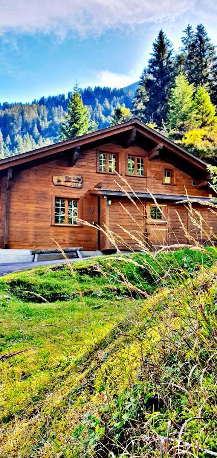 Alpenlodge Willigen Ngoại thất bức ảnh