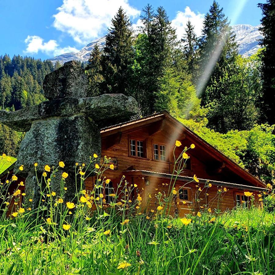 Alpenlodge Willigen Ngoại thất bức ảnh